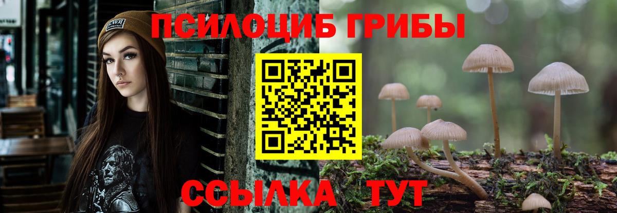 купить наркотики сайты  Галлюциногенные грибы Magic Shrooms  Вход с VPN  Елабуга 